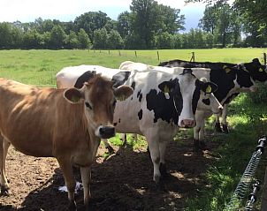 Guest house 526901 - Holiday property Twente - Vakantiehuisje in breklenkamp