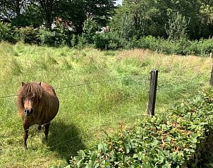 Guest house 526901 - Holiday property Twente - Vakantiehuisje in breklenkamp