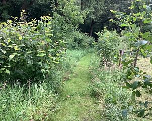 Guest house 526901 - Holiday property Twente - Vakantiehuisje in breklenkamp