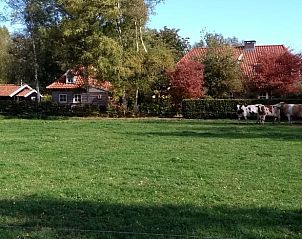 Unterkunft 527202 - Ferienhaus Twente - Huisje in Vriezenveen