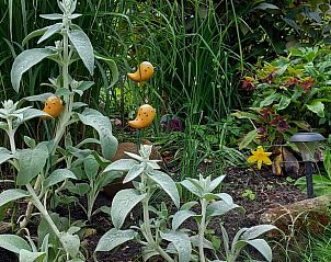 Unterkunft 527202 - Ferienhaus Twente - Huisje in Vriezenveen