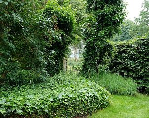 Unterkunft 527202 - Ferienhaus Twente - Huisje in Vriezenveen