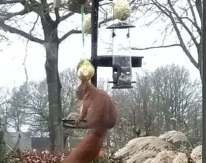 Unterkunft 527202 - Ferienhaus Twente - Huisje in Vriezenveen