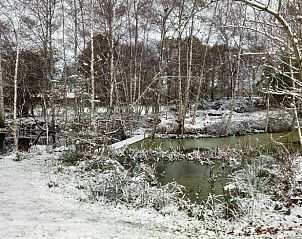 Unterkunft 527202 - Ferienhaus Twente - Huisje in Vriezenveen