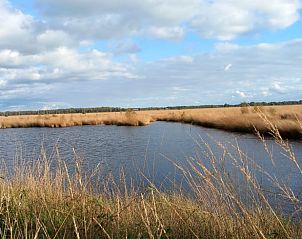 Unterkunft 527202 - Ferienhaus Twente - Huisje in Vriezenveen