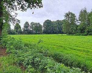 Unterkunft 527204 - Ferienhaus Twente - Vakantiehuisje in Vriezenveen
