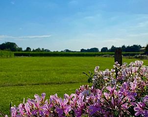 Verblijf 527501 - Vakantiewoning Twente - Huisje in Langeveen