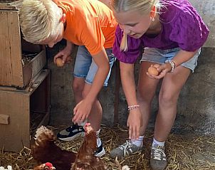 Verblijf 527501 - Vakantiewoning Twente - Huisje in Langeveen