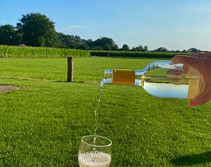 Verblijf 527501 - Vakantiewoning Twente - Huisje in Langeveen