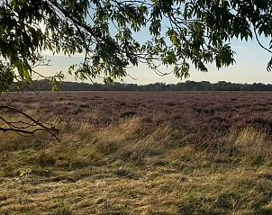 Verblijf 527501 - Vakantiewoning Twente - Huisje in Langeveen