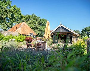 Huisje in Broekland omgeven door weelderige natuur in Salland, Overijssel.