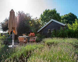 Schaduwrijke tuin bij Huisje in Broekland, vakantieaccommodatie in Salland, Overijssel.