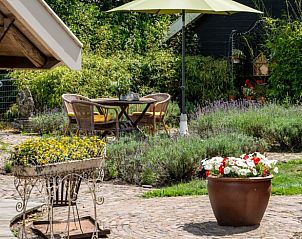 Buitenruimte met bloemen bij Huisje in Broekland, vakantieaccommodatie in Salland, Overijssel.