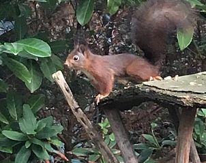 Verblijf 5302100 - Vakantiewoning Salland - Huisje in Holten