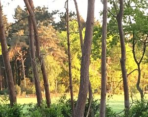 Verblijf 5302100 - Vakantiewoning Salland - Huisje in Holten