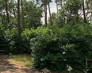 Verblijf 5302100 - Vakantiewoning Salland - Huisje in Holten