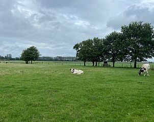 Unterkunft 5302120 - Ferienhaus Salland - Vakantiehuis in Holten