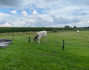 Unterkunft 5302120 - Ferienhaus Salland - Vakantiehuis in Holten