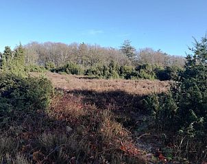 Unterkunft 5302124 - Ferienhaus Salland - Vakantiehuis in Holten