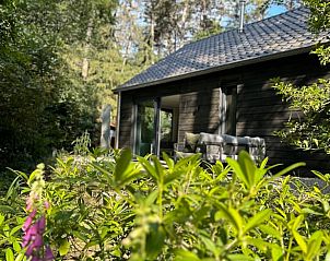 Unterkunft 5302128 - Ferienhaus Salland - Huisje in Holten