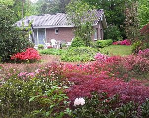 Unterkunft 5302136 - Ferienhaus Salland - Vakantiehuisje in Holten