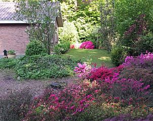 Unterkunft 5302136 - Ferienhaus Salland - Vakantiehuisje in Holten
