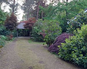 Unterkunft 5302136 - Ferienhaus Salland - Vakantiehuisje in Holten