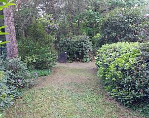 Unterkunft 5302136 - Ferienhaus Salland - Vakantiehuisje in Holten