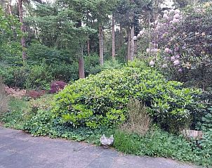 Unterkunft 5302136 - Ferienhaus Salland - Vakantiehuisje in Holten