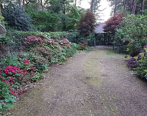 Unterkunft 5302136 - Ferienhaus Salland - Vakantiehuisje in Holten