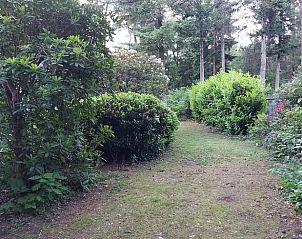 Unterkunft 5302136 - Ferienhaus Salland - Vakantiehuisje in Holten