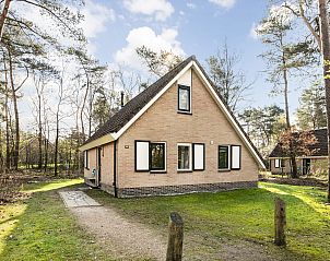 Unterkunft 5302141 - Bungalow Salland - Twenhaarsveld | 4-persoons kinderbungalow | 4LK