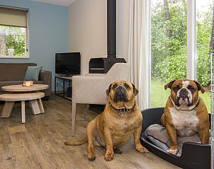 Unterkunft 5302143 - Bungalow Salland - Twenhaarsveld | 6-persoons hondenbungalow | 6CD