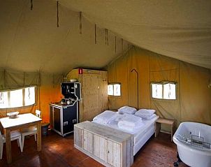 Unterkunft 5302160 - Zelthaus Salland - Romantic Safaritent met bad