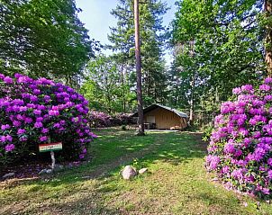 Unterkunft 5302160 - Zelthaus Salland - Romantic Safaritent met bad