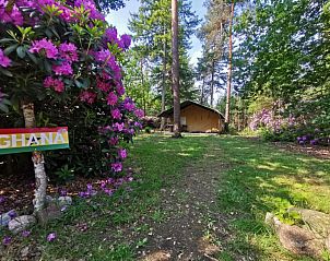 Unterkunft 5302160 - Zelthaus Salland - Romantic Safaritent met bad