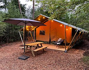 Unterkunft 5302166 - Zelthaus Salland - Glamping tent met bad