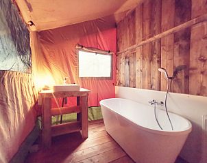 Unterkunft 5302166 - Zelthaus Salland - Glamping tent met bad