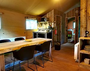 Unterkunft 5302166 - Zelthaus Salland - Glamping tent met bad