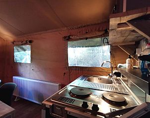 Unterkunft 5302166 - Zelthaus Salland - Glamping tent met bad