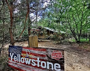 Unterkunft 5302166 - Zelthaus Salland - Glamping tent met bad