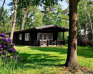 Unterkunft 5302170 - Ferienhaus Salland - Vakantiehuis Outdoors Holten - Family Lodge met bad & hottub