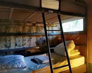 Verblijf 5302174 - Vakantiewoning Salland - Vakantiehuis Outdoors Holten - Glamping tent bad