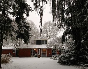 Sfeervol vakantiehuisje in Holten, Salland, omgeven door besneeuwde natuur in Overijssel, ideaal voor een winterse ontsnapping.