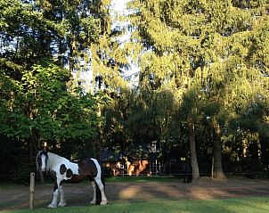 Verblijf 530241 - Vakantiewoning Salland - Vakantiehuisje in Holten