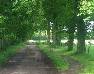 Verblijf 530241 - Vakantiewoning Salland - Vakantiehuisje in Holten