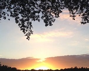 Verblijf 530241 - Vakantiewoning Salland - Vakantiehuisje in Holten