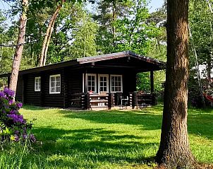 Verblijf 530247 • Vakantiewoning Salland • Huisje in Holten 