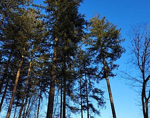 Unterkunft 530249 - Ferienhaus Salland - Huisje in Holten