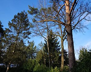 Unterkunft 530249 - Ferienhaus Salland - Huisje in Holten